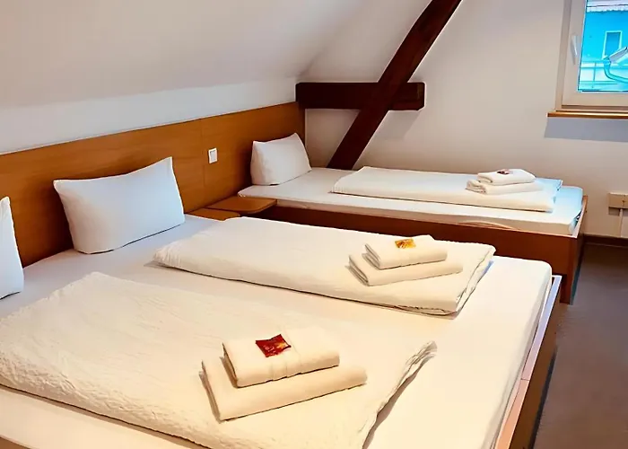 Гостевой дом Gaestehaus Ludwig