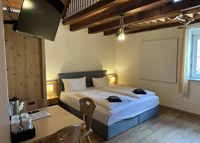 בית הארחה Gaestehaus Ludwig 3*